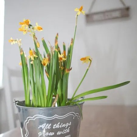 White House Rauxel *