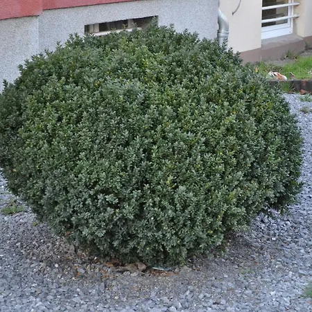 白宫卡斯特罗洛克赛尔公寓 *