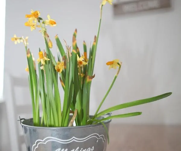 白宫卡斯特罗洛克赛尔公寓 *