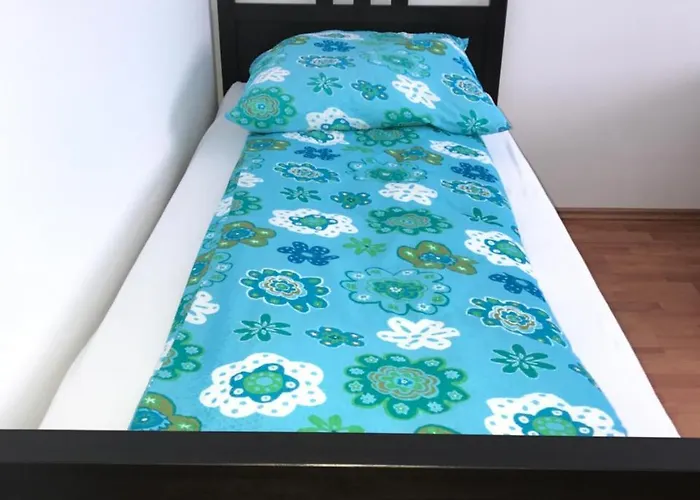 公寓 白宫卡斯特罗洛克赛尔公寓 卡斯特罗普-劳克塞尔